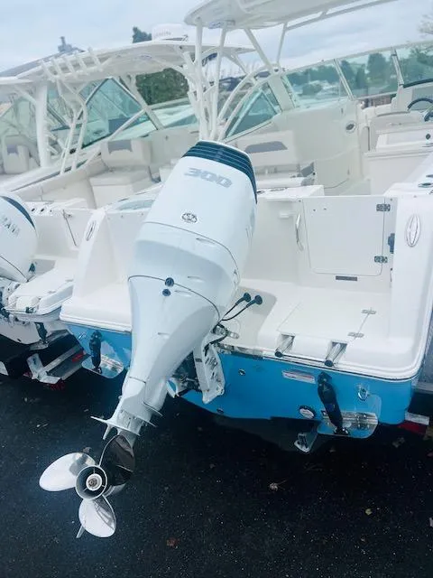 Slide: The Image of Sailfish 245 DC 2025 - 14