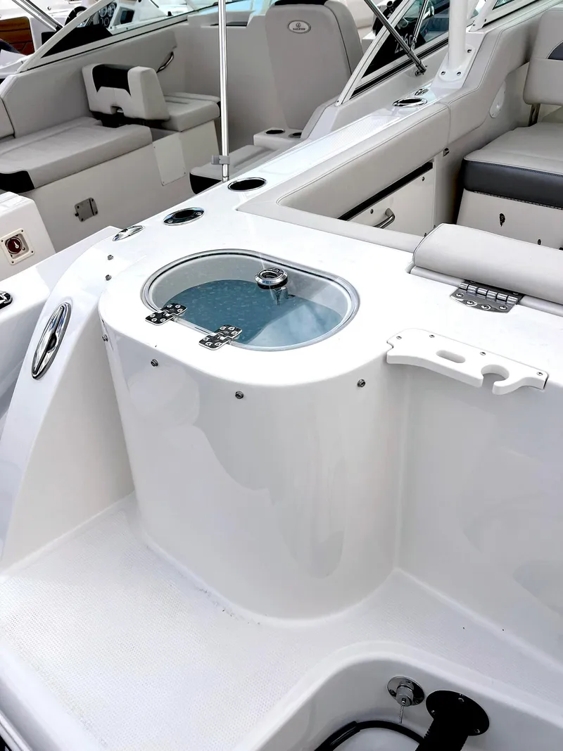 Slide: The Image of Sailfish 245 DC 2025 - 4