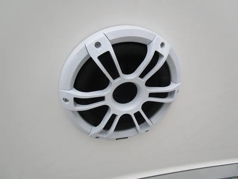 Slide: The Image of White speaker grille on Solara S-250 CW, 2025 model. - 47