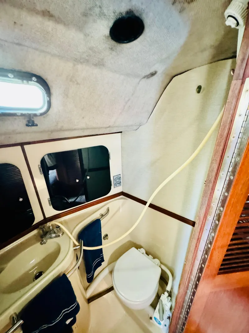 Slide: The Image of S2 9.1 1985 - 15