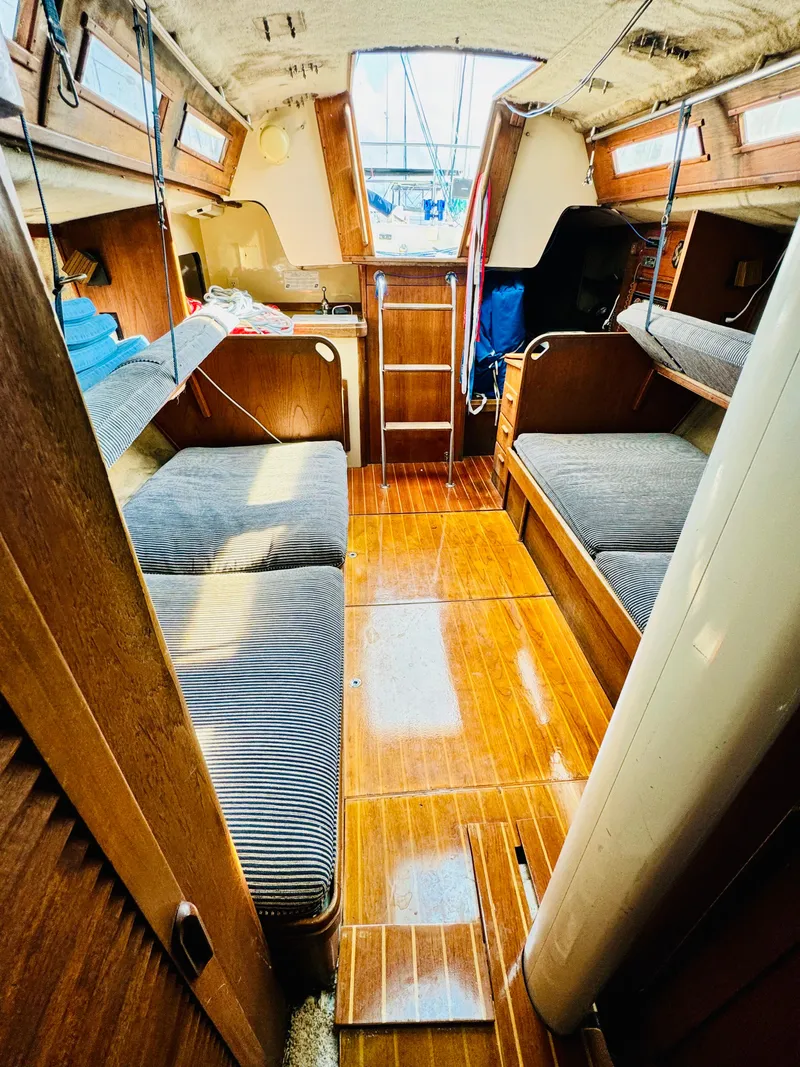 Slide: The Image of S2 9.1 1985 - 17