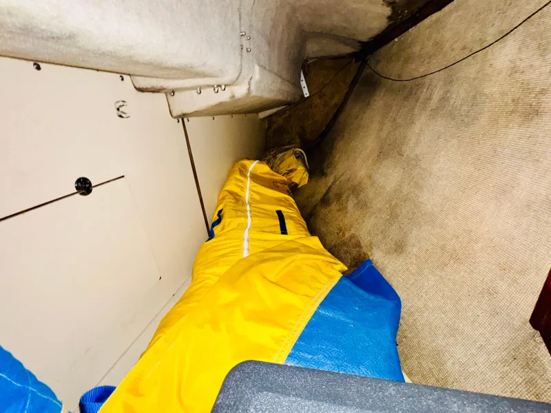 Slide: The Image of S2 9.1 1985 - 23