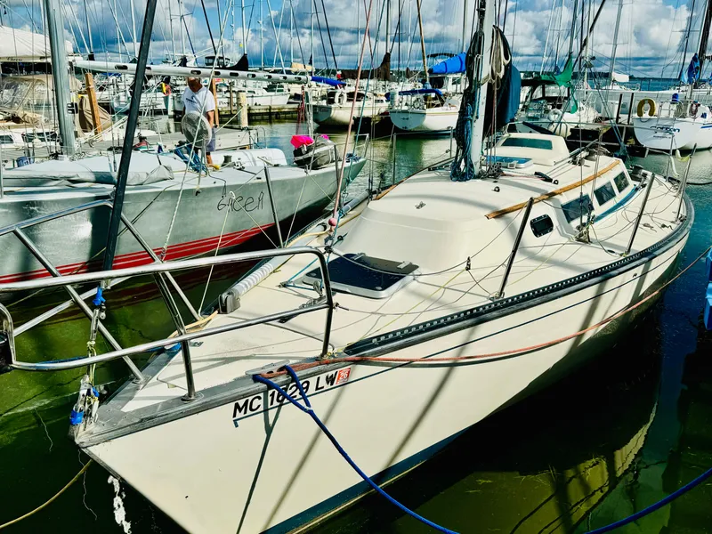 Slide: The Image of S2 9.1 1985 - 25