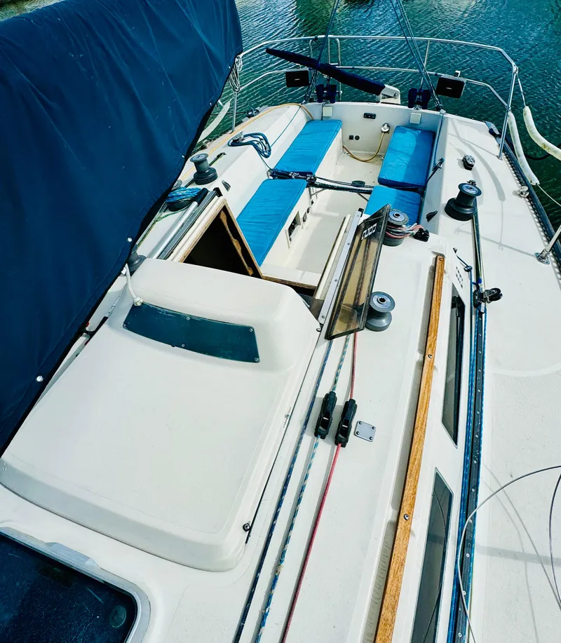 Slide: The Image of S2 9.1 1985 - 26