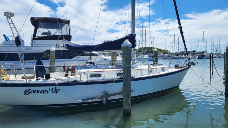The Image of 1979 Pearson 365 Sloop sailboat docked in a marina under a blue sky. - 0