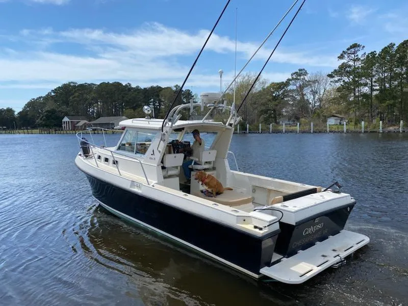 The Image of 1995 Albin 28 Tournament Express boat on a calm lake with a person and dog onboard. - 0