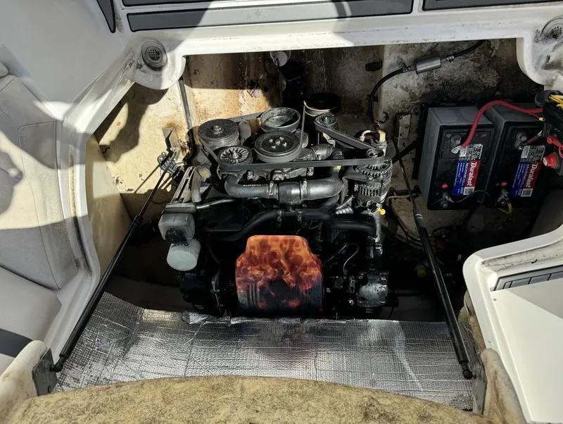 Slide: The Image of Chaparral Sunesta 254 2004 - 15