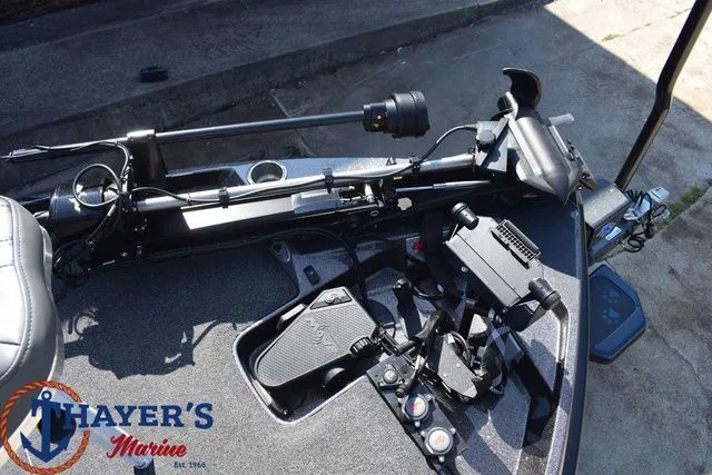 Slide: The Image of Bass Cat Caracal STS 2025 - 10