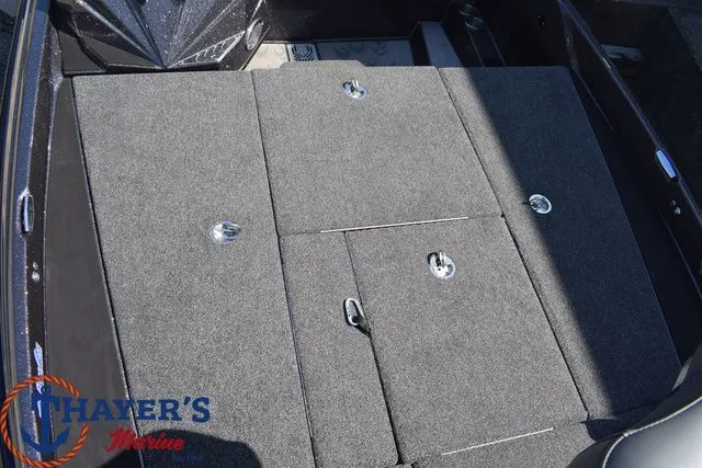 Slide: The Image of Bass Cat Caracal STS 2025 - 11