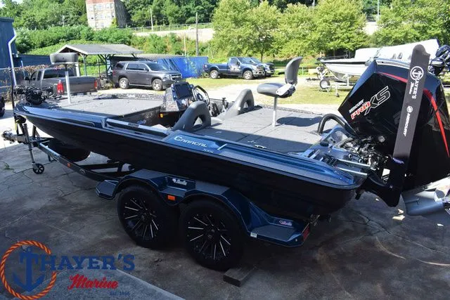 Slide: The Image of Bass Cat Caracal STS 2025 - 16