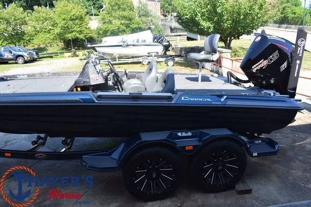 Slide: The Image of Bass Cat Caracal STS 2025 - 17