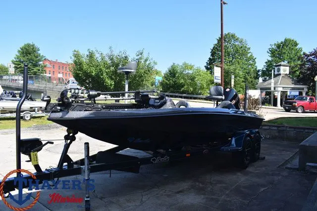 Slide: The Image of Bass Cat Caracal STS 2025 - 19