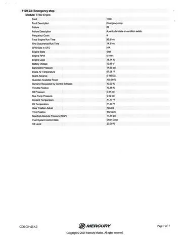 Slide: The Image of Bass Cat Caracal STS 2025 - 21