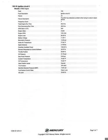 Slide: The Image of Bass Cat Caracal STS 2025 - 22