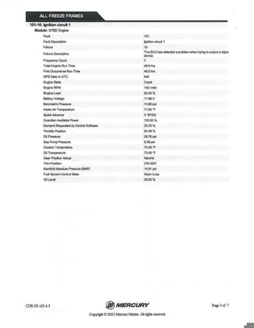 Slide: The Image of Bass Cat Caracal STS 2025 - 23