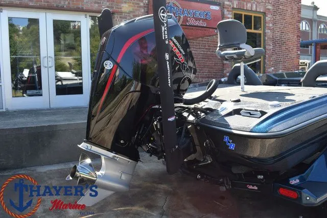 Slide: The Image of Bass Cat Caracal STS 2025 - 4