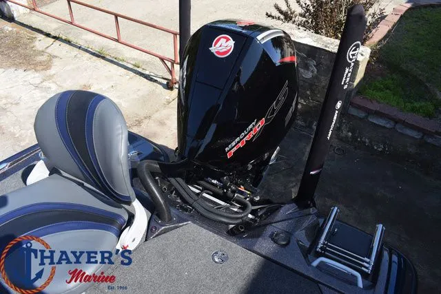 Slide: The Image of Bass Cat Caracal STS 2025 - 6