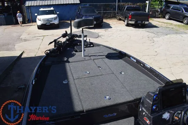 Slide: The Image of Bass Cat Caracal STS 2025 - 7