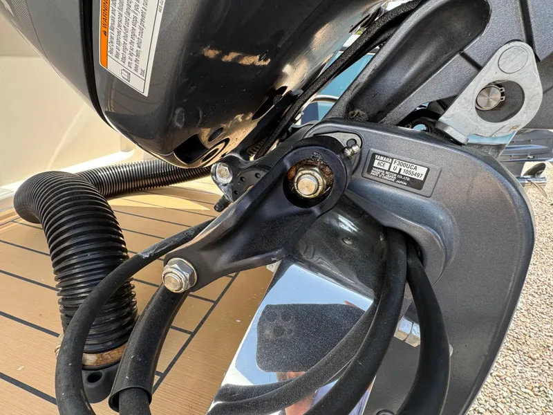 Slide: The Image of Scout 235 XSF 2019 - 51