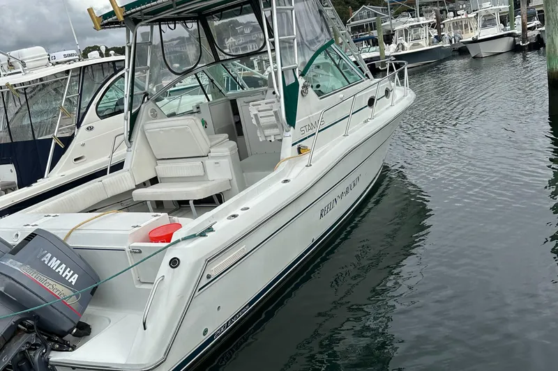 Slide: The Image of Stamas 290 Express 1998 - 1