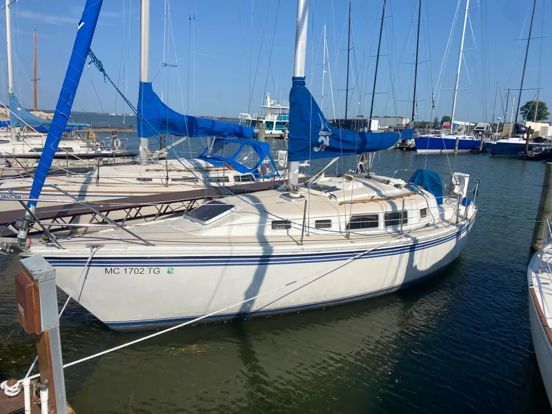 The Image of 1991 Newport 31 sailboat docked at marina with blue sails and clear sky. - 0