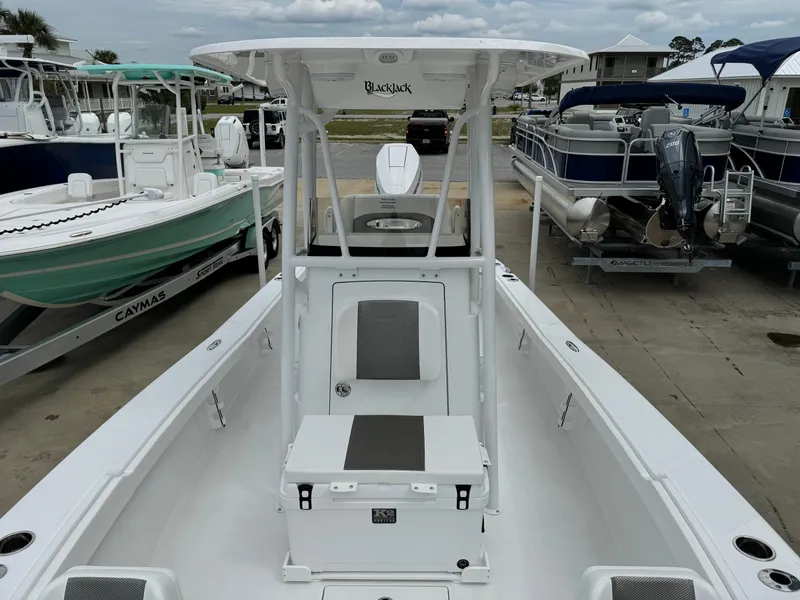Slide: The Image of 2025 BlackJack 256 Coastal boat, white interior, docked among other boats. - 11