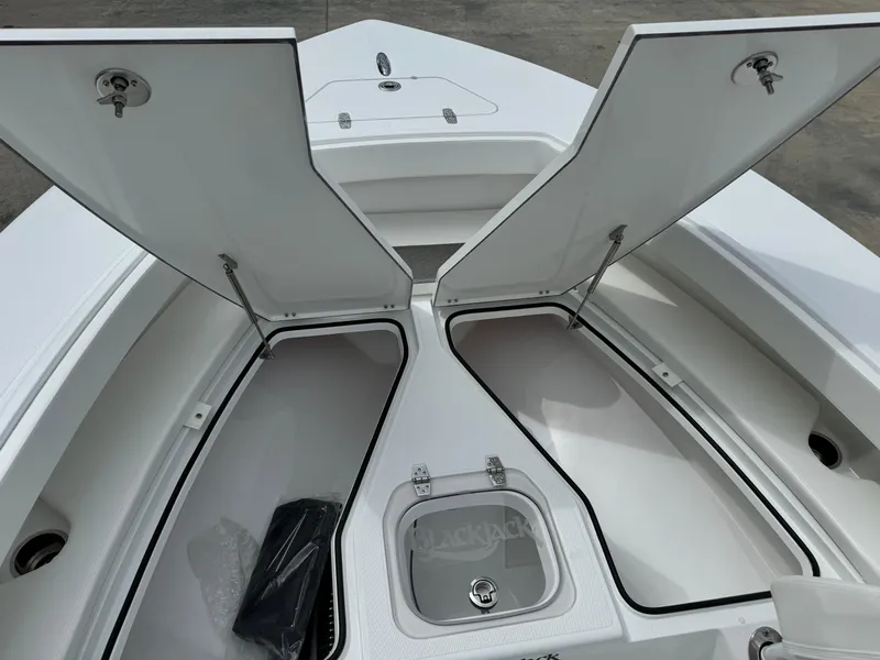 Slide: The Image of 2025 BlackJack 256 Coastal boat with open storage compartments. - 14