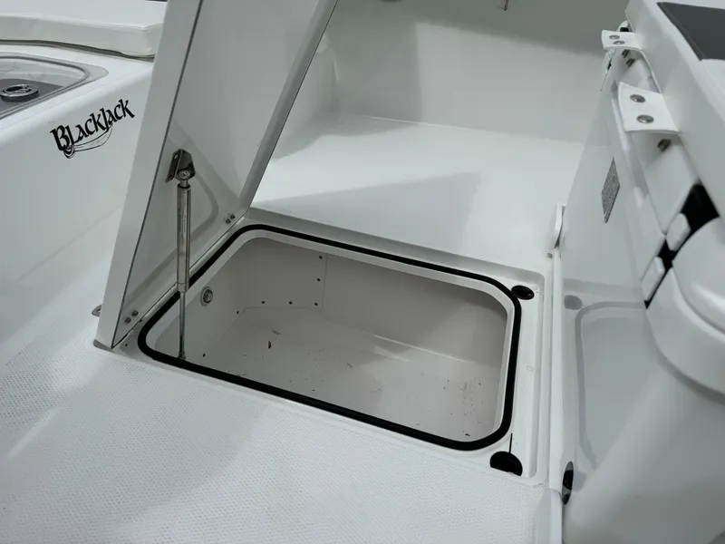 Slide: The Image of Open storage compartment on 2025 BlackJack 256 Coastal boat. - 15