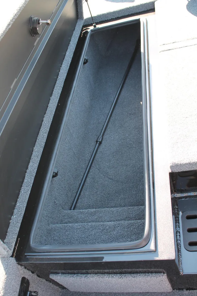 Slide: The Image of Vexus AVX1980C 2025 - 26