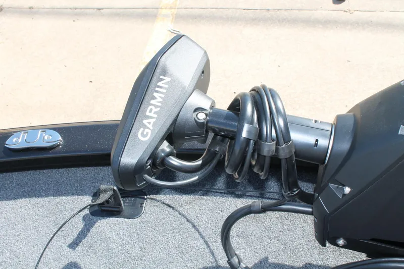 Slide: The Image of Vexus AVX1980C 2025 - 8