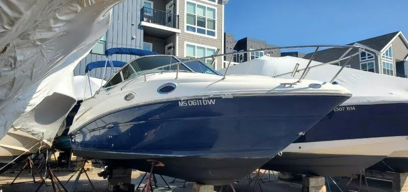 The Image of Bow Closeup - 0