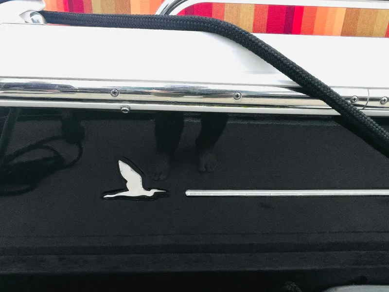 Slide: The Image of Custom Black gelcoat - 27