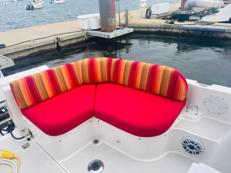 Slide: The Image of Cockpit Sunbrella fabric colorful and immaculate - 5