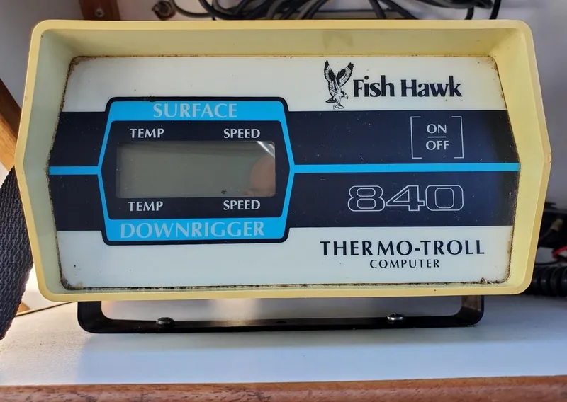 Slide: The Image of Fish Hawk thermo-troll computer - 40