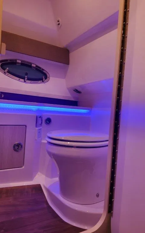 Slide: The Image of Formula 330 CBR 2025 - 84