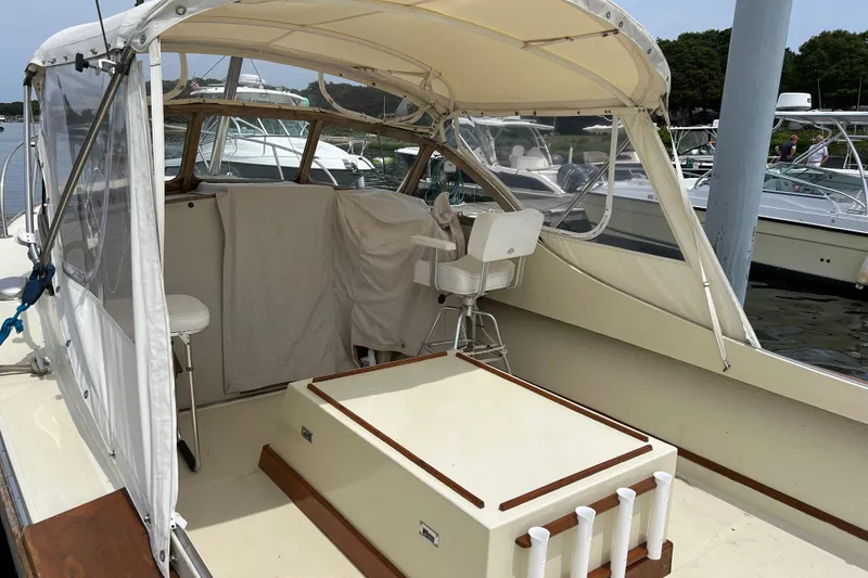 Slide: The Image of July 5, 2025 - 50