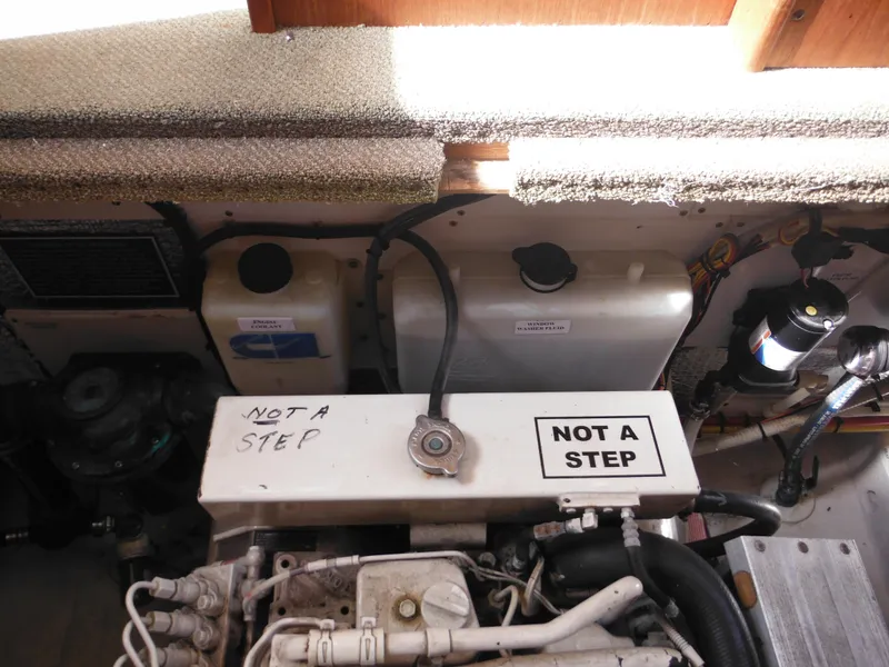 Slide: The Image of Nordic 32 2005 - 93