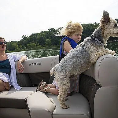 Slide: The Image of Family enjoying a boat ride on a 2023 Harris 230 Sunliner with a dog. - 5