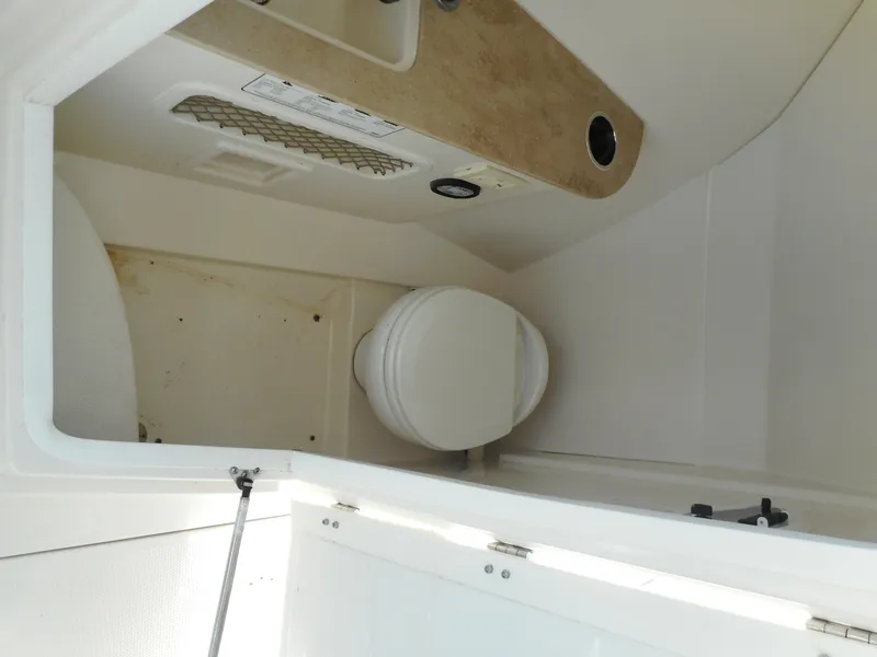 Slide: The Image of Electric Head - 29