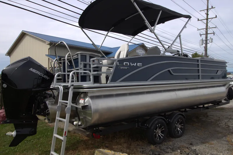 Slide: The Image of Lowe SF 232 2024 - 0