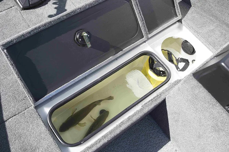 Slide: The Image of 2024 Alumacraft Classic 165 Tiller livewell with fish, showcasing storage features. - 21