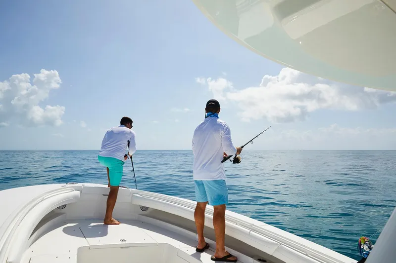 Slide: The Image of Manufacturer Provided Image - 4