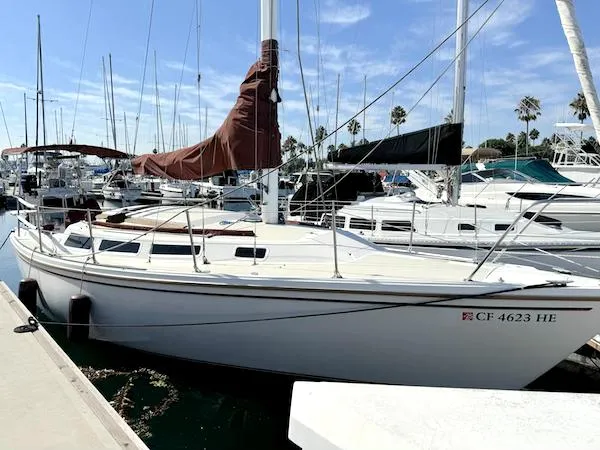 The Image of 1983 Catalina 30 sailboat docked in marina, clear sky, palm trees in background. - 0