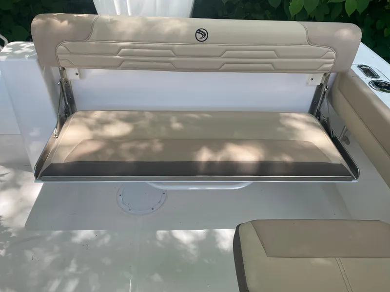 Slide: The Image of Edgewater 248 CX 2024 - 23