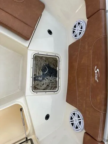 Slide: The Image of Scout 240 XSF 2025 - 81