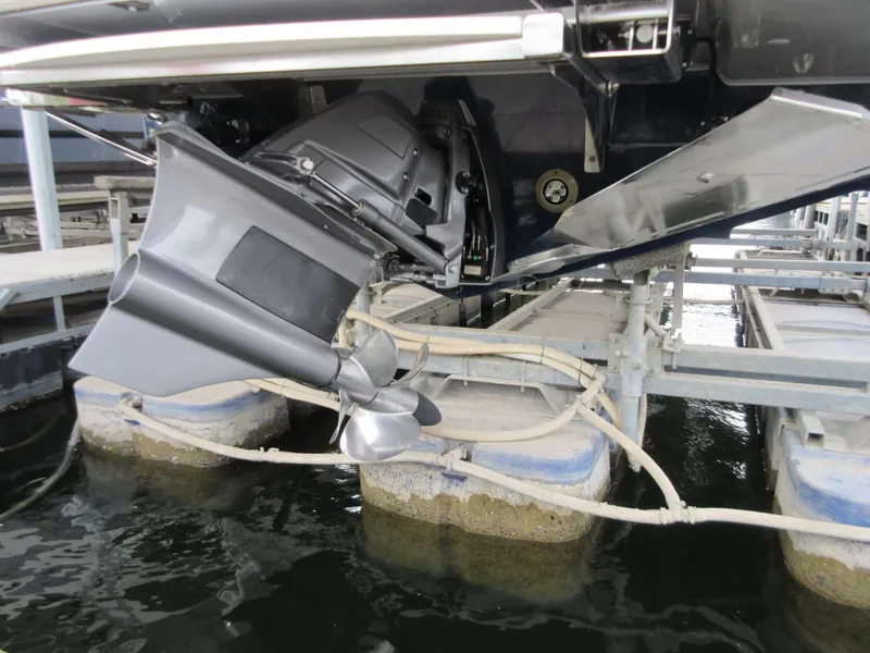 Slide: The Image of Regal LS9 Surf 2025 - 4