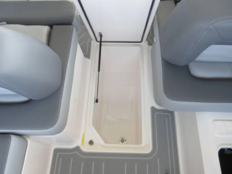 Slide: The Image of Regal LS6 2025 - 15