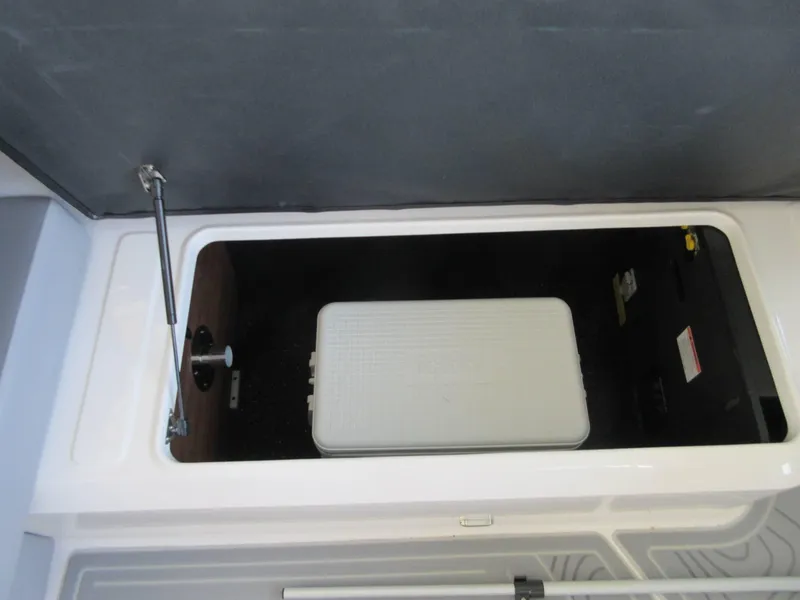 Slide: The Image of Regal LS6 2025 - 17