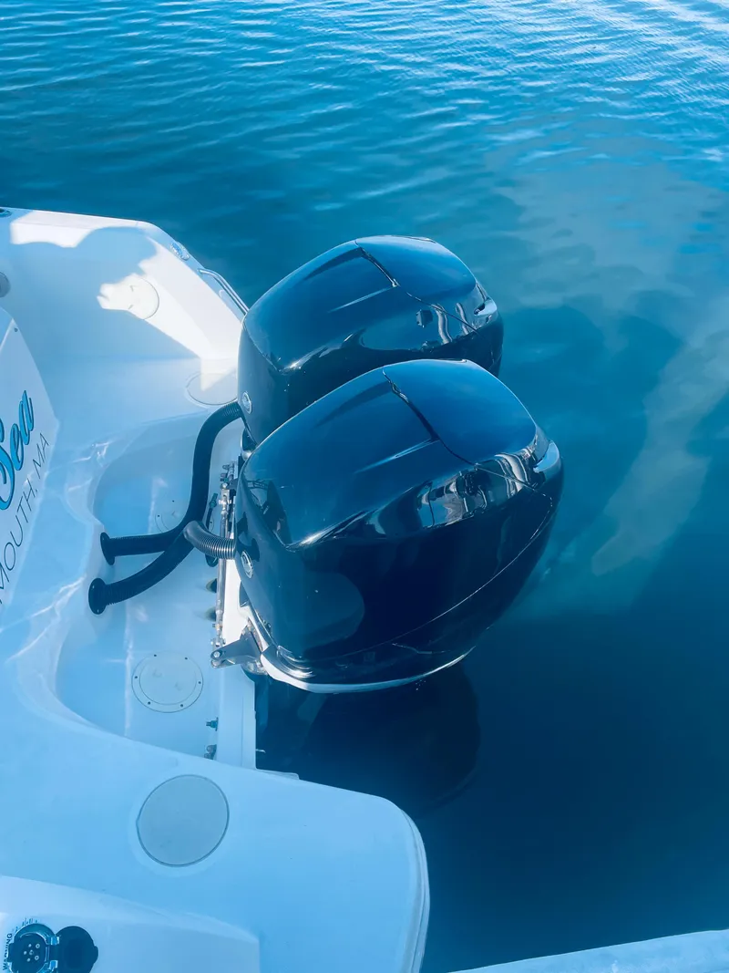 Slide: The Image of Twin 225 Mercury Verados - 9