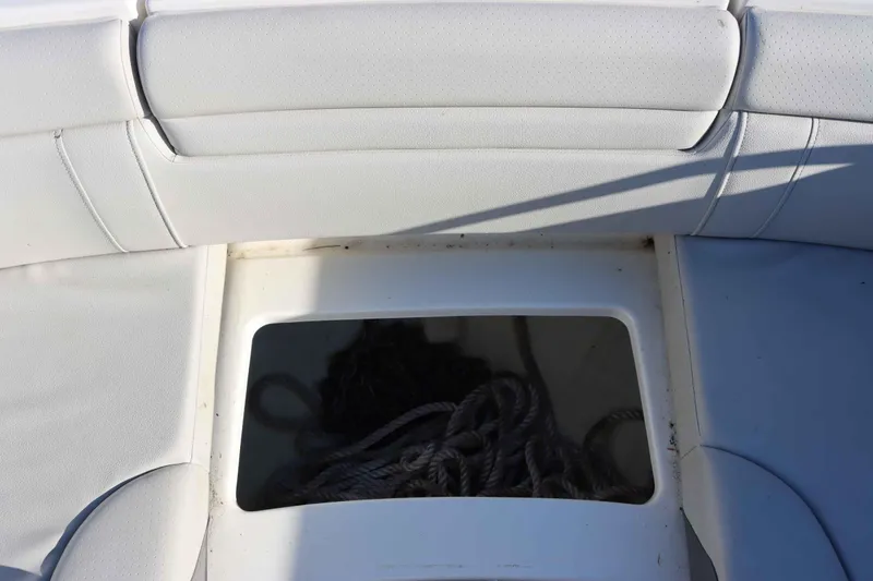 Slide: The Image of Sea Ray SDX 270 2021 - 22